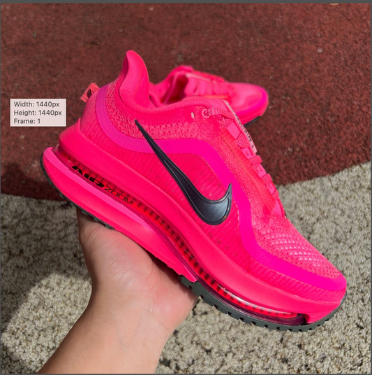 Nike Pegasus Premium